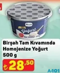 BİRŞAH TAM KIVAMINDA HOMOJENİZE YOĞURT 500 G fiyat ve kampanya bilgisi